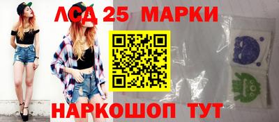 гидропоника Новозыбков