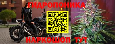 герыч Новокубанск