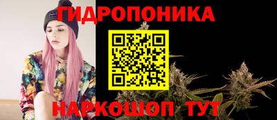 герыч Новокубанск