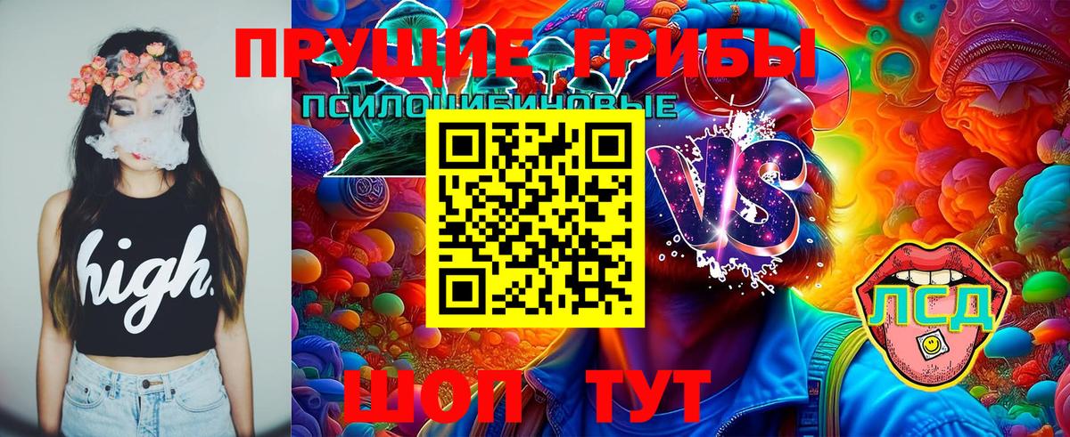 Псилоцибиновые грибы прущие грибы Рыбинск