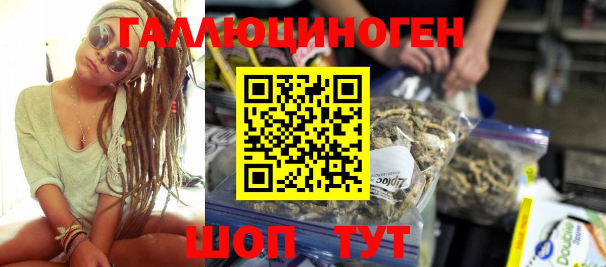 Рыбинск  Псилоцибиновые грибы Cubensis  Вход с VPN 